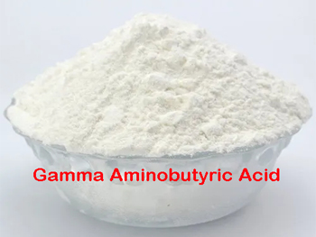 What Is The Role Of Gamma Aminobutyric Acid?